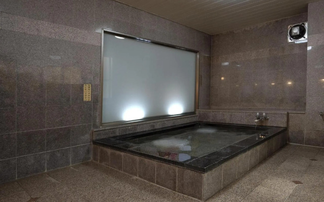Hotel  New Gaea Iizuka