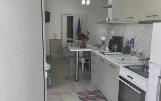 Alexandra`s House