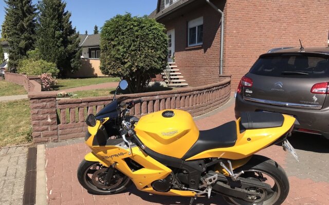 Schwalbe in der Heide