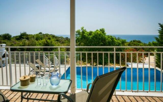 Sea View Villa in Skala