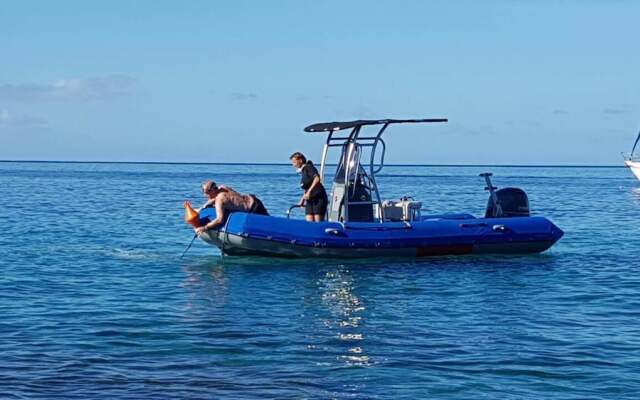 Gites du Bord de Mer