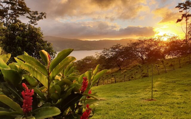 Ceiba Tree Lodge