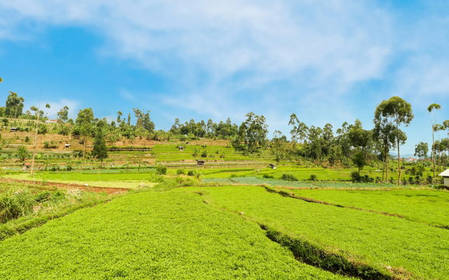 OYO Homes 90992 Eco Tourism Desa Panundaan Ciwidey Syariah