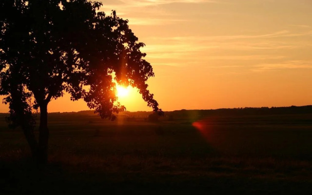 Pension zum Wiesengrund