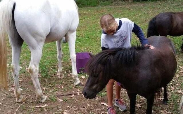 The Tops Organic Retreat