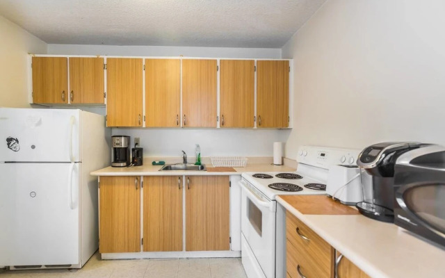 Spacious 1 BR Apartment of Downtown Toronto II