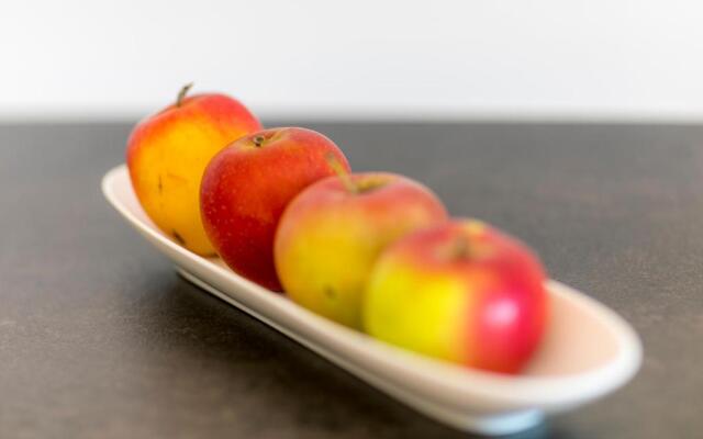 Apartment Wiesenhof - NATUR & WEITBLICK über Innsbruck - Ladestation für Elektroautos