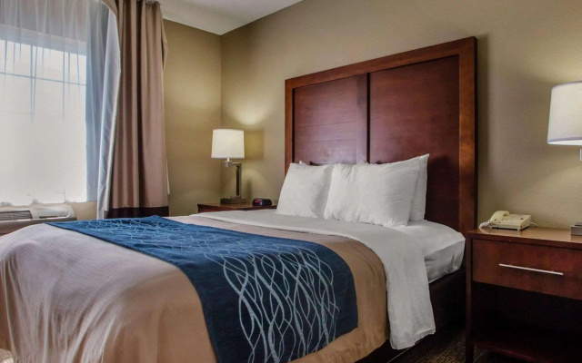 Comfort Inn & Suites Jackson - West Bend