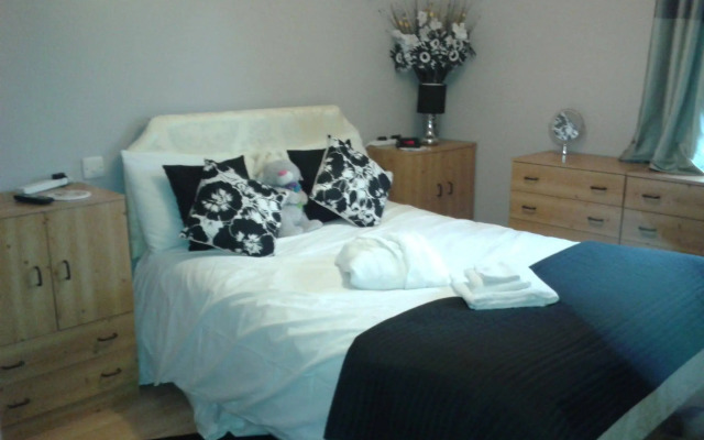 Springfield B & B