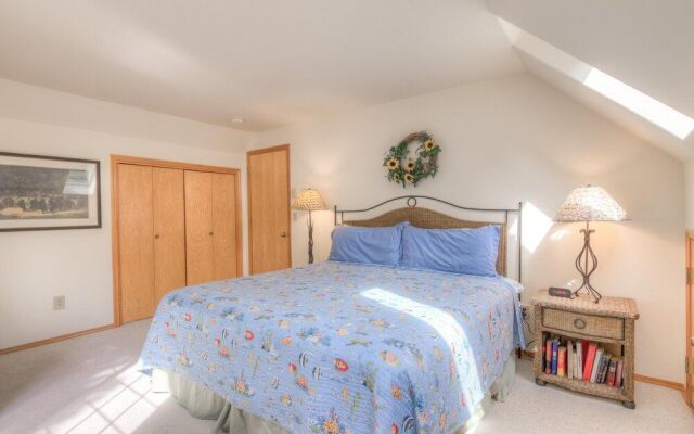 Avas Sunny Delight (MCA 682)