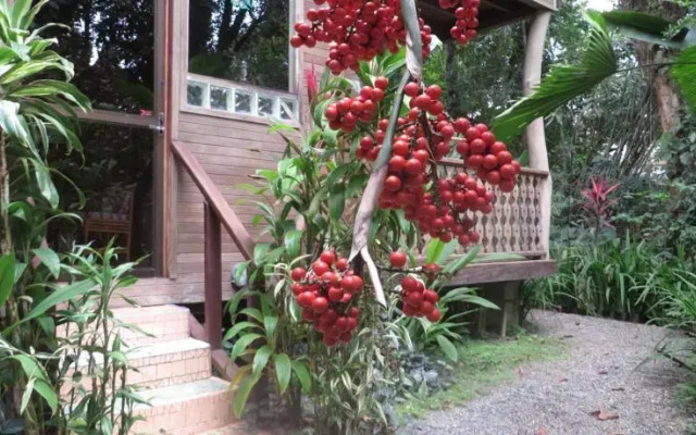 Cecropia House