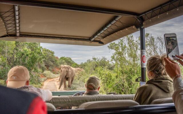 The Safari Lodge