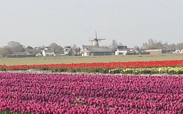 B&B De Nieuwe Stal