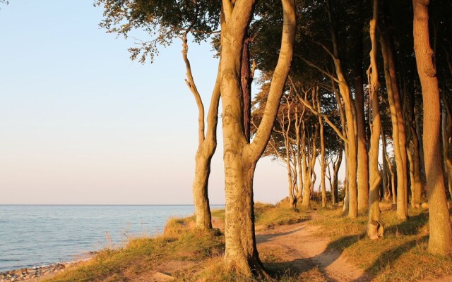Pretty Apartment With Roofed Terrace Garden Barbecue