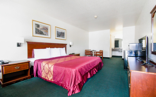 OYO Inn & Suites
