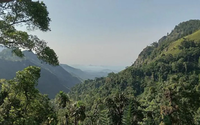 Blue Ribbon Homestay