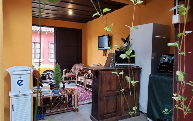 Parrot House