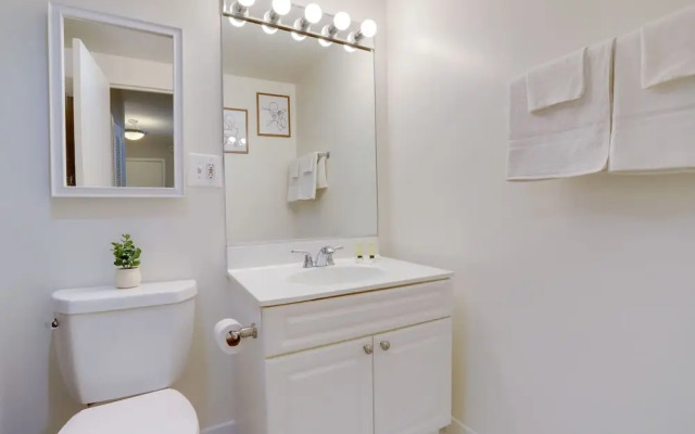 Stylish Condo in Crystal City