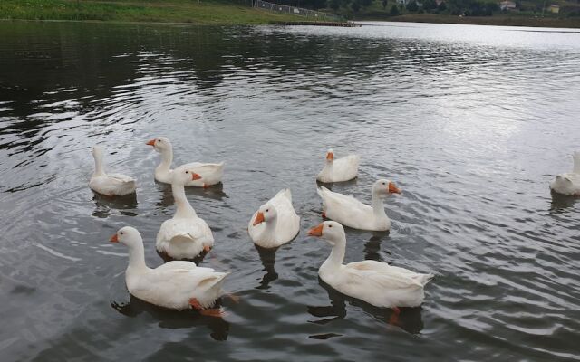 Yildiz Tepe Otel & Pansiyon