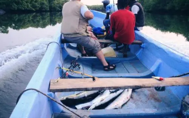 Campement Les Baobabs