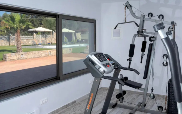 Luxurious Villa David