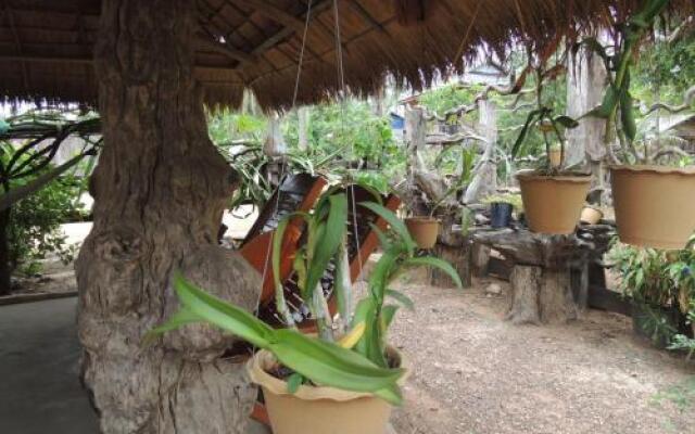 Yang Savy Homestay