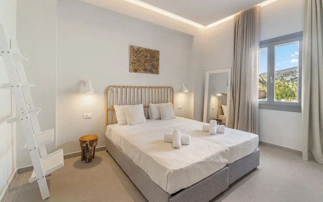 Suite Home Villas with Private Pools by Explore Andros