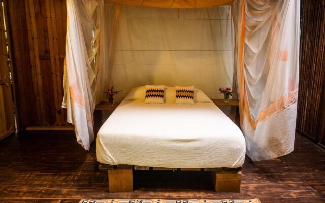 La Loma Jungle Lodge