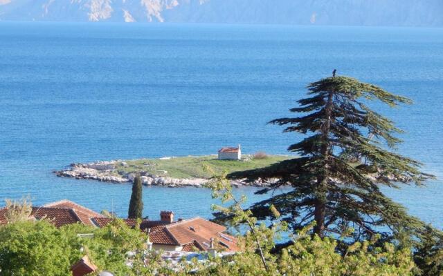 Apartments Ruza