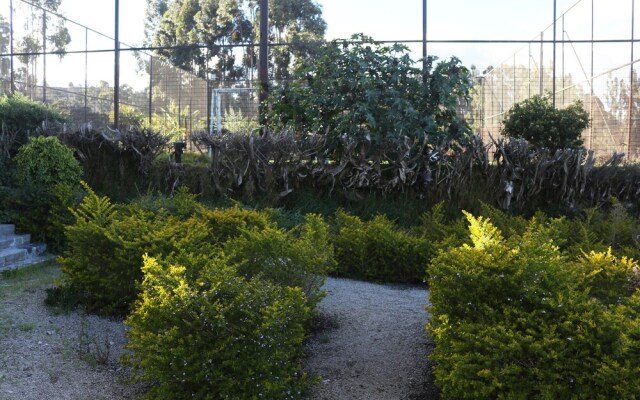 Hacienda Turística Las Manolas