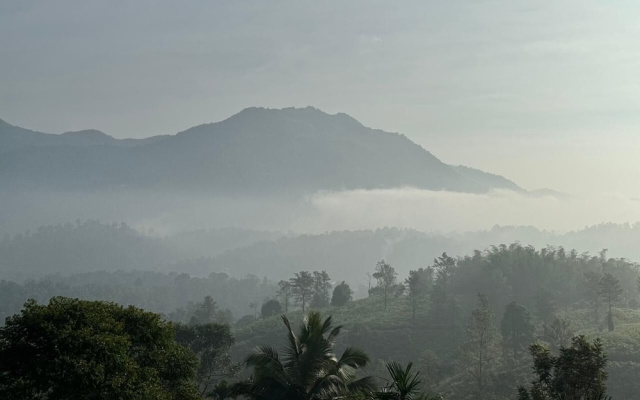 Lush Hills by Benchmark
