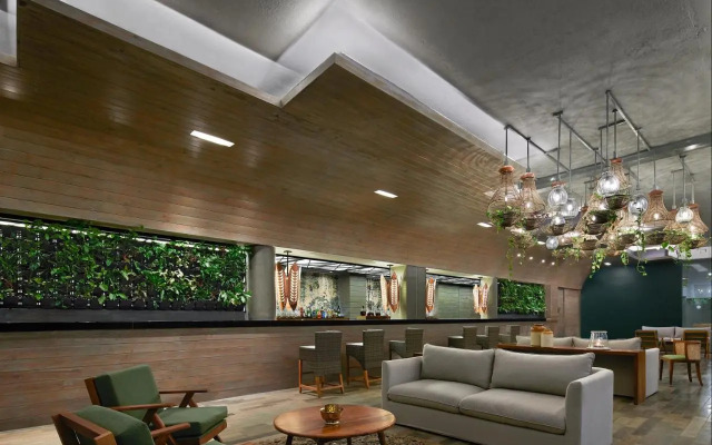 Hikka Tranz by Cinnamon