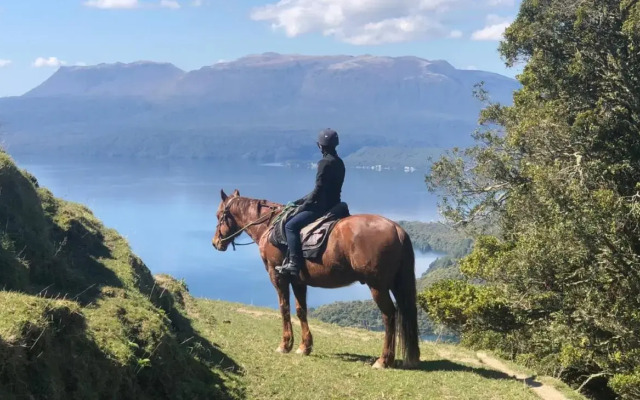 FlaxWater Bach - Lake Tarawera Holiday Home