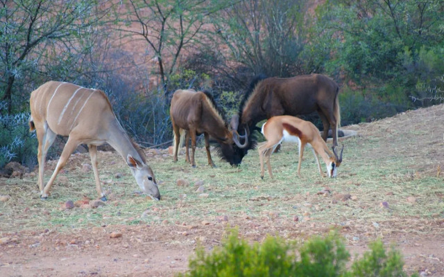 Zwartberg View Mountain Lodge
