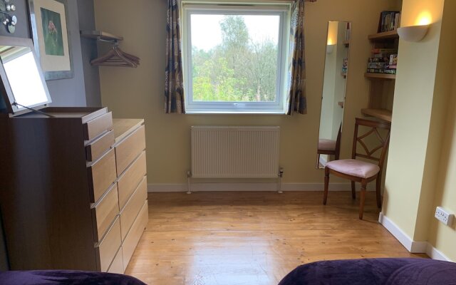 Ascension in the Fields