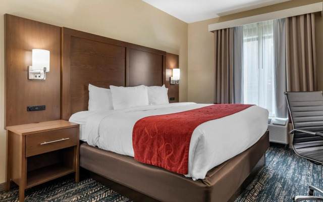Comfort Inn & Suites Downtown near University