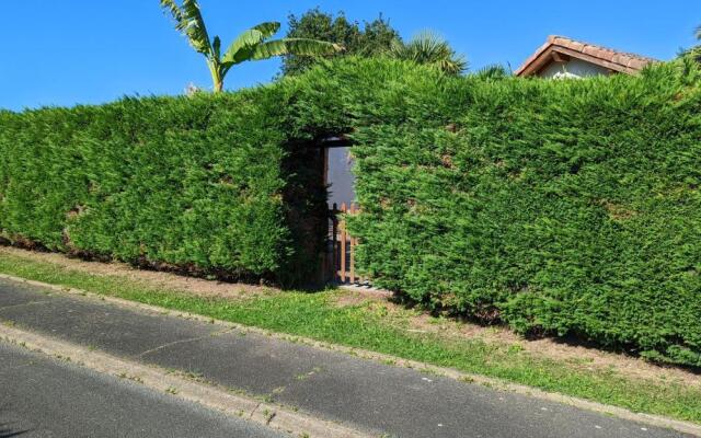 Guest House au milieu des palmiers