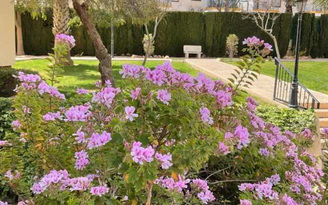 Penthouse Apartment Orihuela Costa