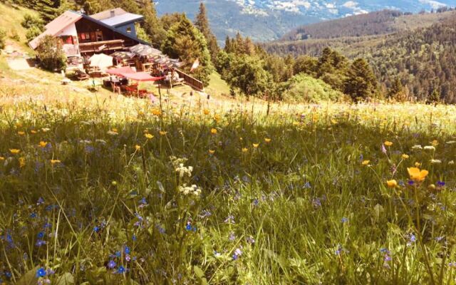 Le Schallern - Chambres & Table d'hotes