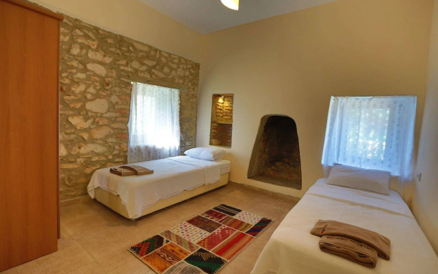 Tomato Bodrum