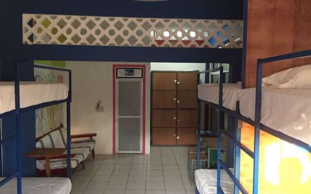 El Coyote Hostal and Surf - Hostel