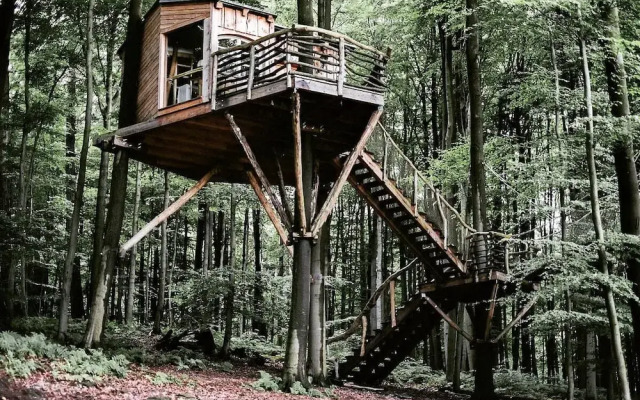 Robins Nest Baumhaushotel