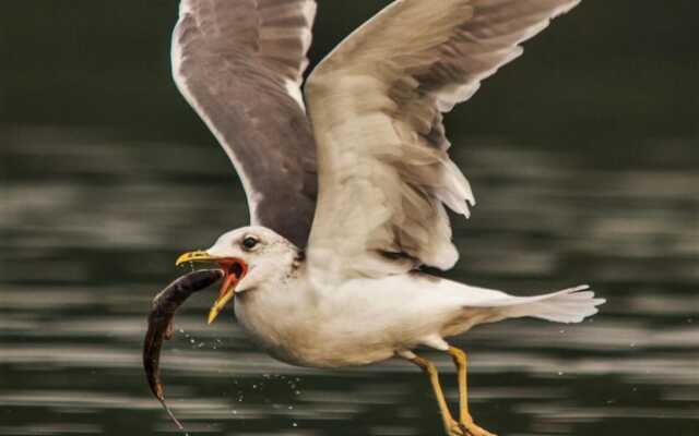 Hotel Altes Zollhaus