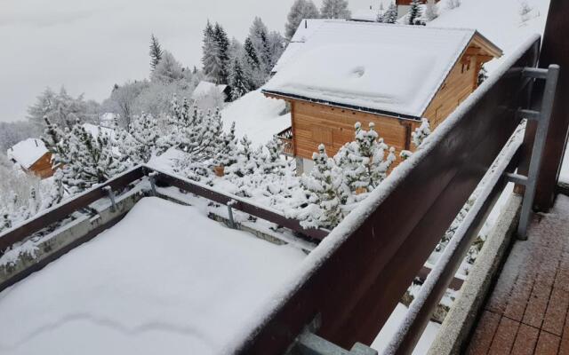 Les Collons1800- Bel appart 2pièces-4 pers-piscine-sauna-parking int-Wifi gratuit