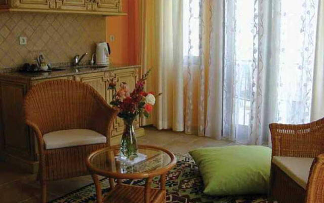 Olive Tree Studio