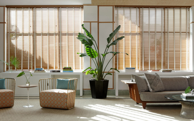 Kimpton Surfcomber Hotel by IHG