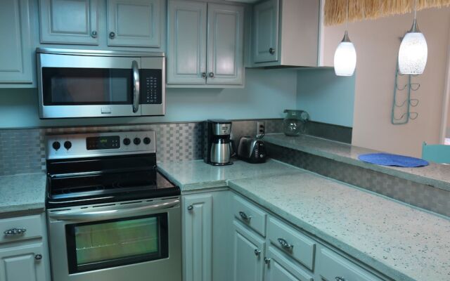 Sand Dollar by Surfside VR