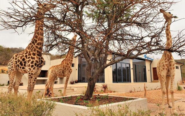 Graceland Eco Retreat