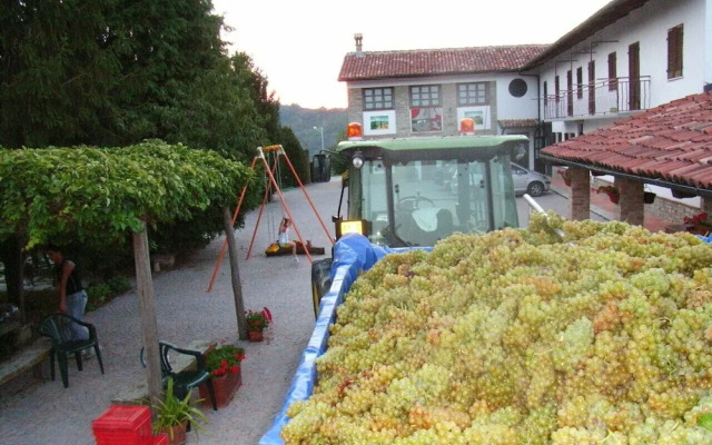 Agriturist Rupestr
