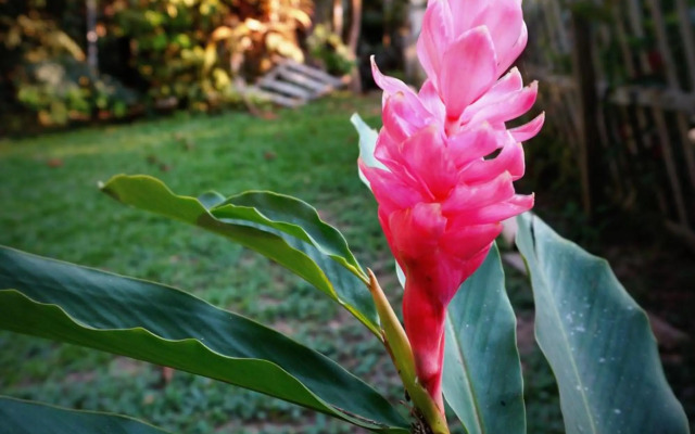 Villa Hermosa de Tambopata Casa Hospedaje & Hostel